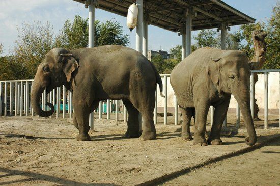 Kharkiv Zoo